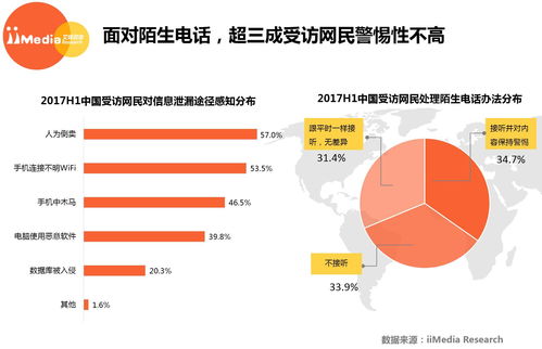 2017上半年中国网络安全市场研究报告